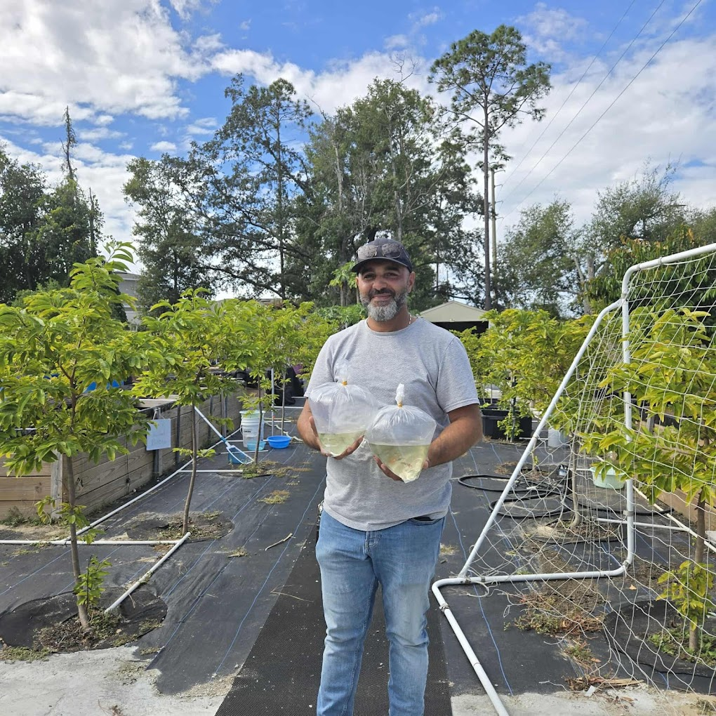 Phước, the owner of Phuoc Guppies Fish Farm in Orlando